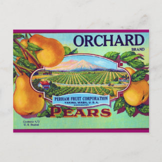 Orchard Pears Briefkaart