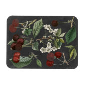 Orchard Varieties I Magneet (Horizontaal)