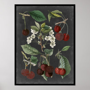Orchard Varieties I Poster