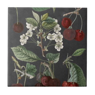 Orchard Varieties I Tegeltje