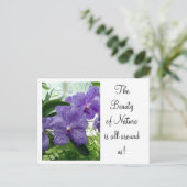 Orchard Violet Briefkaart (Staand voorkant)