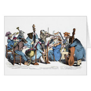 Orchestre animal
