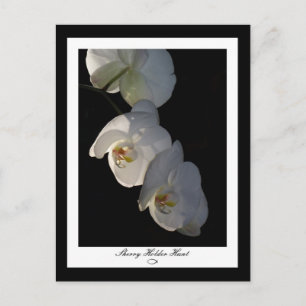 Orchid 002 Briefkaart