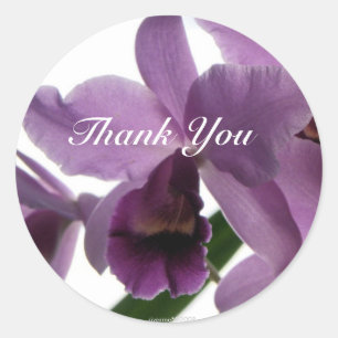 Orchid 1 Merci/ Stickers