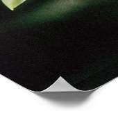 Orchid Beallara 'Tahoma Glacier' Poster (Hoek)