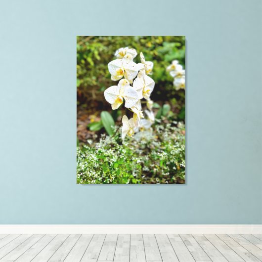 Orchid Beauty Canvas Afdruk (Insitu (Houten vloer))