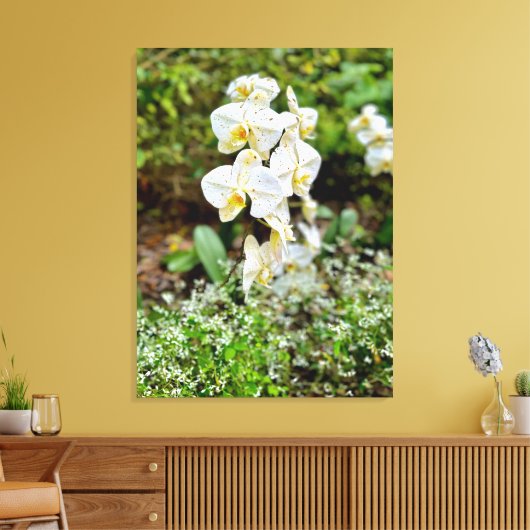 Orchid Beauty Canvas Afdruk (Insitu (Woonkamer))