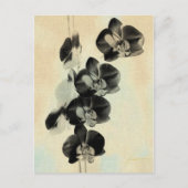 Orchid Blush Panels III Briefkaart (Voorkant)