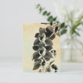 Orchid Blush Panels IV Briefkaart (Staand voorkant)