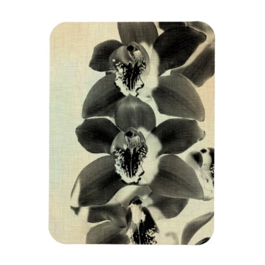 Orchid Blush Panels IV Magneet (Verticaal)