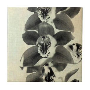 Orchid Blush Panels IV Tegeltje