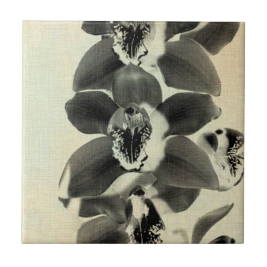 Orchid Blush Panels IV Tegeltje (Voorkant)