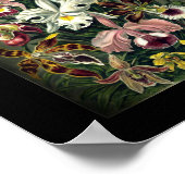 Orchid Botanical Print (Hoek)
