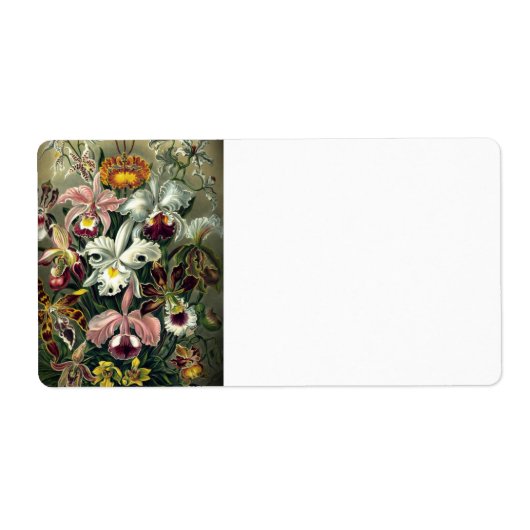 Orchid Botanical Print Etiket (Voorkant)