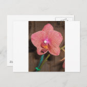 Orchid Briefkaart (Voorkant / Achterkant)