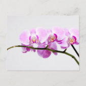 orchid briefkaart (Voorkant)
