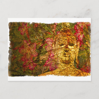Orchid Buddha Briefkaart