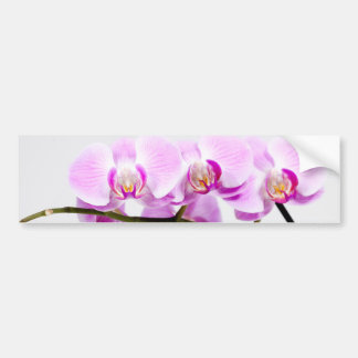 orchid bumpersticker