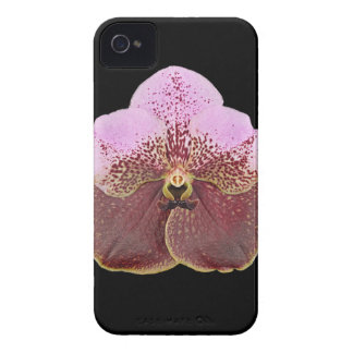 Orchid Cell Phone Case, iPhone 4 iPhone 4 Hoesje