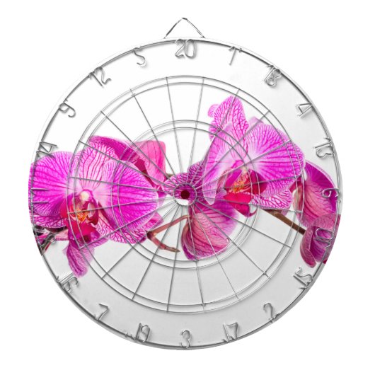 Orchid Dartbord (Voorkant)