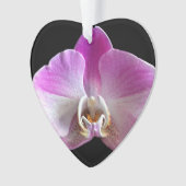 Orchid de Purple et White (devant)