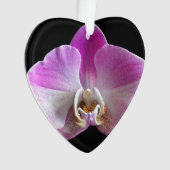 Orchid de Purple et White (devant)