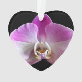 Orchid de Purple et White (dos)