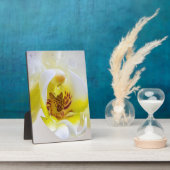 Orchid Dew Fotoplaat (Zijkant)