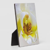 Orchid Dew Fotoplaat (Zijkant)