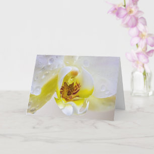 Orchid Dew Kaart
