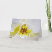 Orchid Dew Kaart (Voorkant)