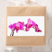 Orchid Etiket (Insitu)