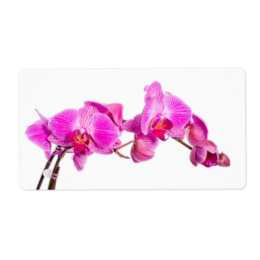Orchid Etiket (Voorkant)