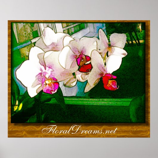 Orchid Explosion Poster (Voorkant)