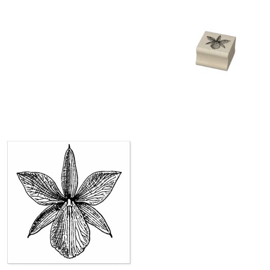 Orchid Flower Blossom Tropical Hawaii Botanisch Rubberstempel (Gestempeld)