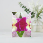 Orchid Flower Briefkaart (Staand voorkant)