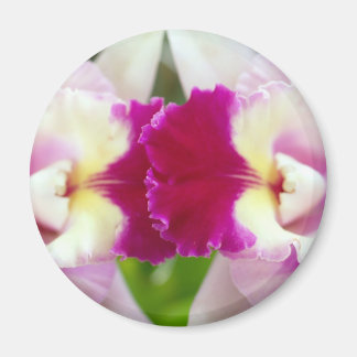 Orchid Flower Magneet