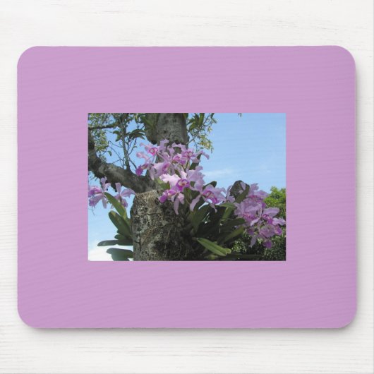 Orchid Flower Mousepad - Muismat (Voorkant)