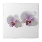 Orchid Flowers Ceramic Tile Tegeltje (Voorkant)