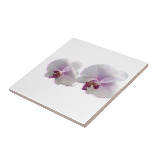 Orchid Flowers Ceramic Tile Tegeltje (Zijkant)