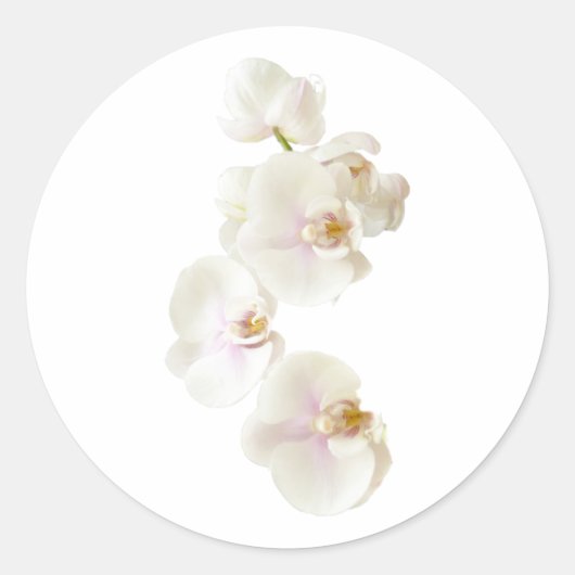 Orchid Flowers Ronde Sticker (Voorkant)