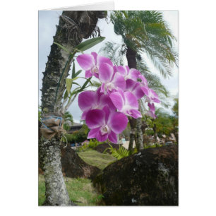 Orchid haning uit boom - Blank card