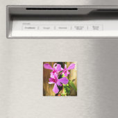 Orchid in Crepe Myrtle Tree Magnet Magneet (Insitu (Vaatwasser))