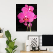 Orchid in het Poster Bloom (Thuiskantoor)
