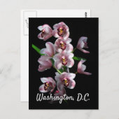 Orchid Insanity on Black, Washington, DC Briefkaart (Voorkant / Achterkant)