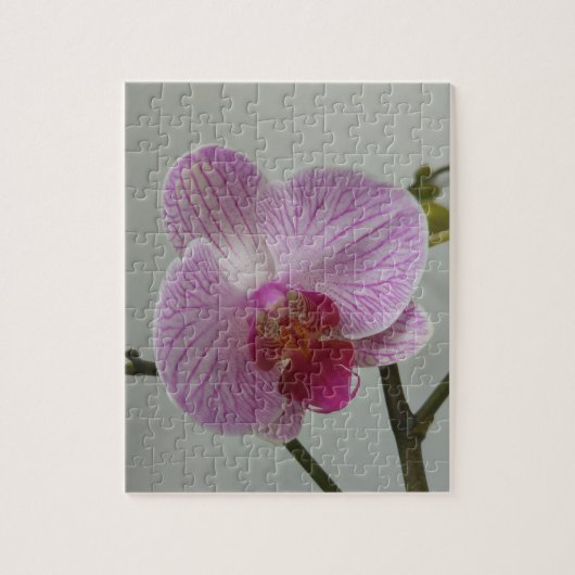 Orchid Jigzaag Puzzle Legpuzzel (Verticaal)