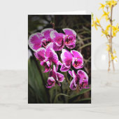 Orchid, kaart (Gele Bloem)