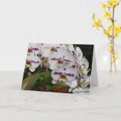 Orchid, kaart (Gele Bloem)