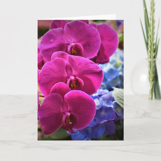 Orchid, kaart (Voorkant)