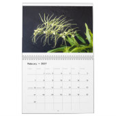 Orchid Kalender (Feb 2027)